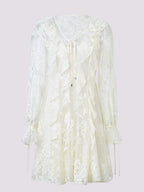 Lace Ruffled Long Sleeve Mini Dress